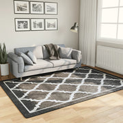 Washable anti-slip rug 160x230 cm black and white