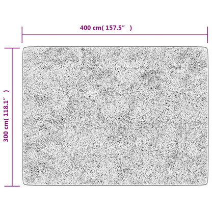 Vloerkleed Wasbaar Anti-Slip En Goudkleurig Zwart 400 x 300 cm