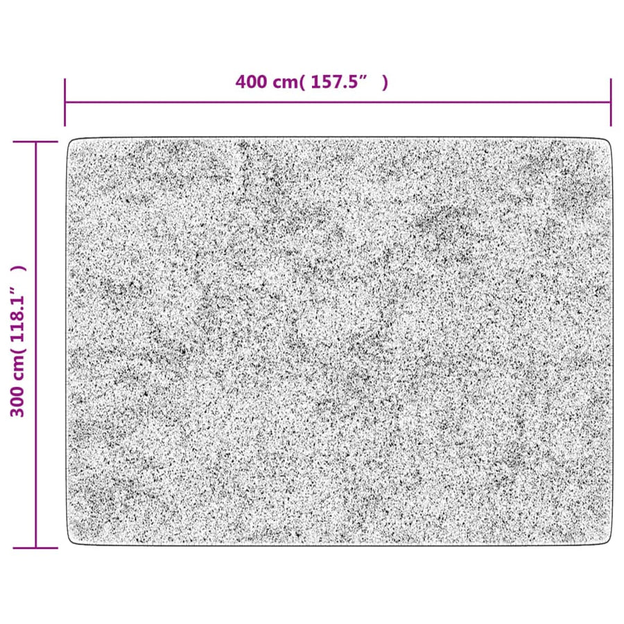 Vloerkleed Wasbaar Anti-Slip En Goudkleurig Zwart 400 x 300 cm