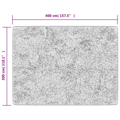 Vloerkleed wasbaar 400x300 cm antracietkleurig