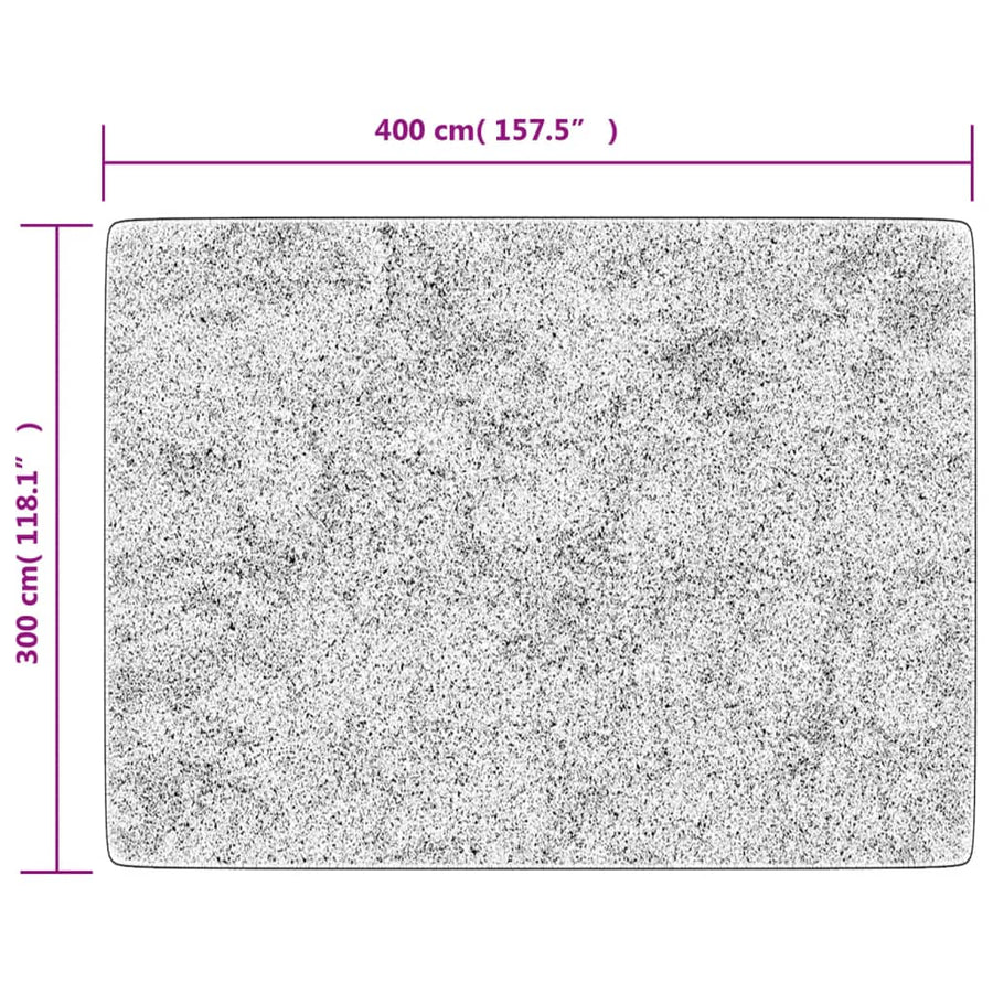 Vloerkleed wasbaar 400x300 cm antracietkleurig