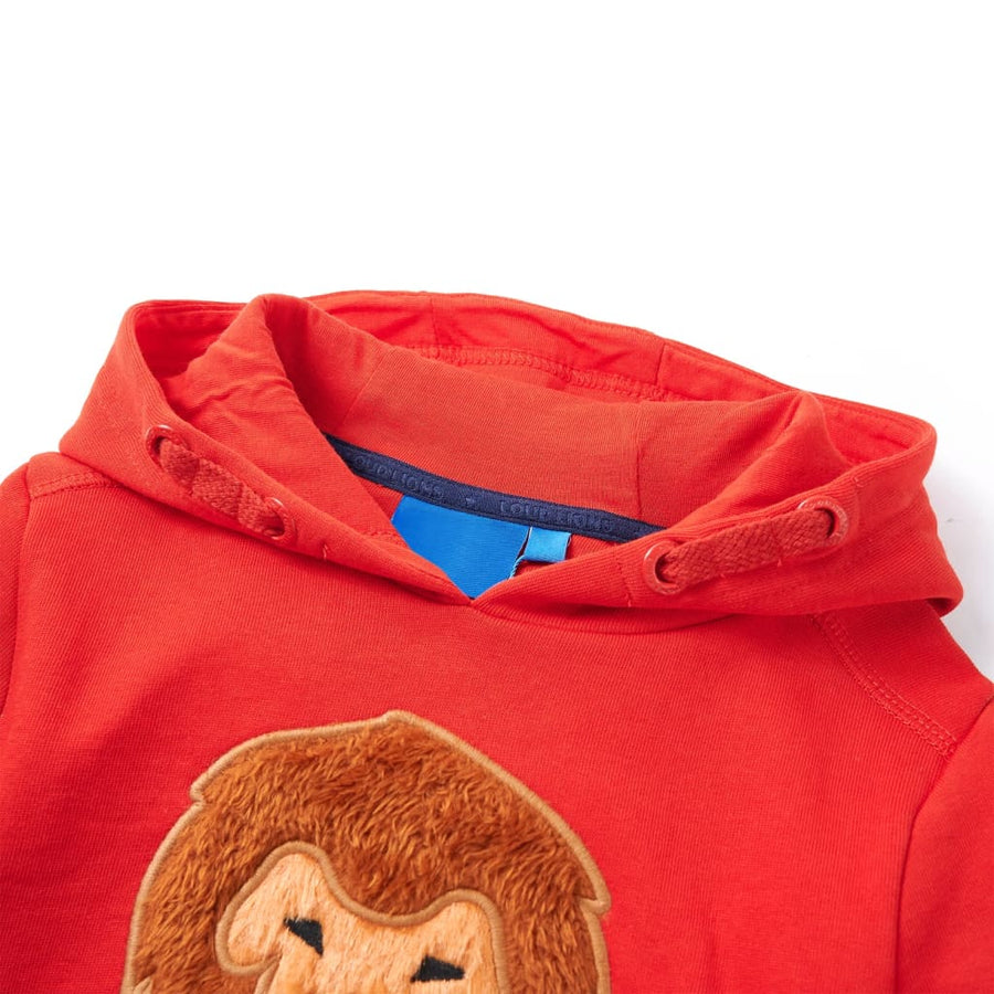 Kindertrui met capuchon 104 rood 104