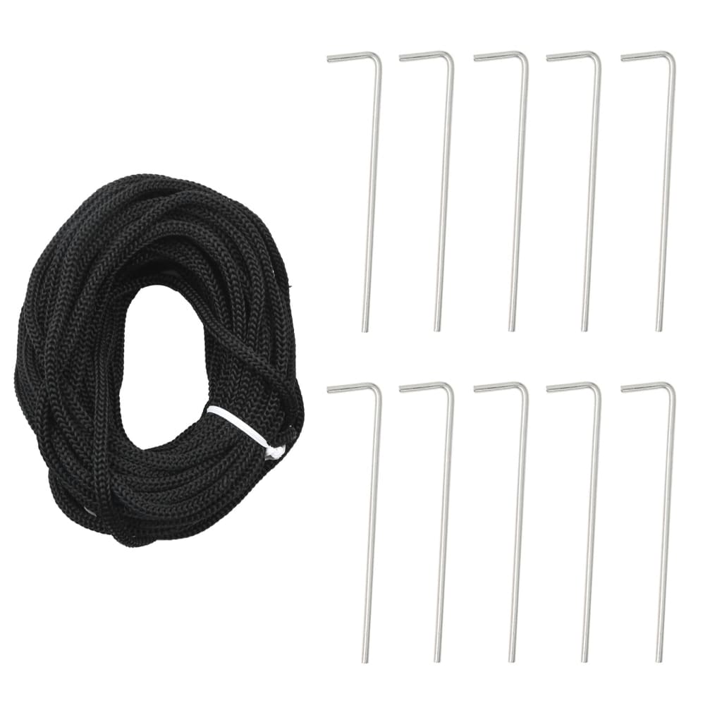 Lichtkegel Aan Vlaggenmast 550 Koudwitte Led's 300 Cm