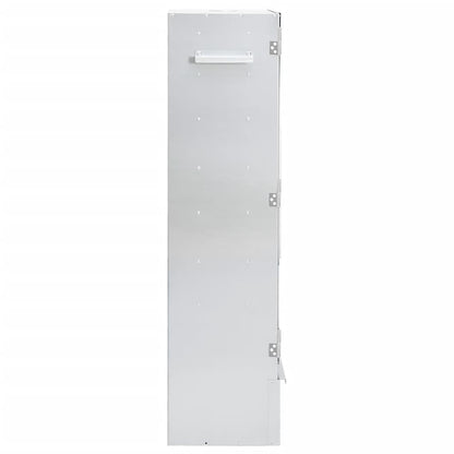 Bbq-Rookoven Met Koude Rookgenerator Gegalvaniseerd Staal 44.5 x 29 x 110 cm (21 x 21 x 4.5 cm) Met raam