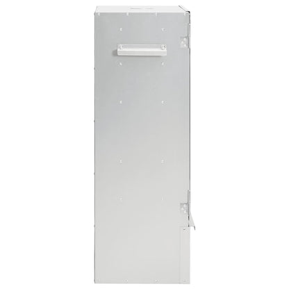 Bbq-Rookoven Met Koude Rookgenerator Gegalvaniseerd Staal 1 44.5 x 29 x 83 cm (35 x 20.5 x 4.5 cm) Zonder raam