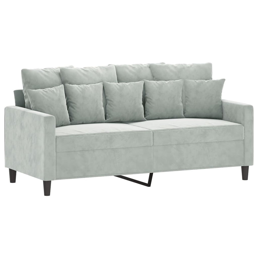 2-Delige Loungeset Fluweel Lichtgrijs met kussens