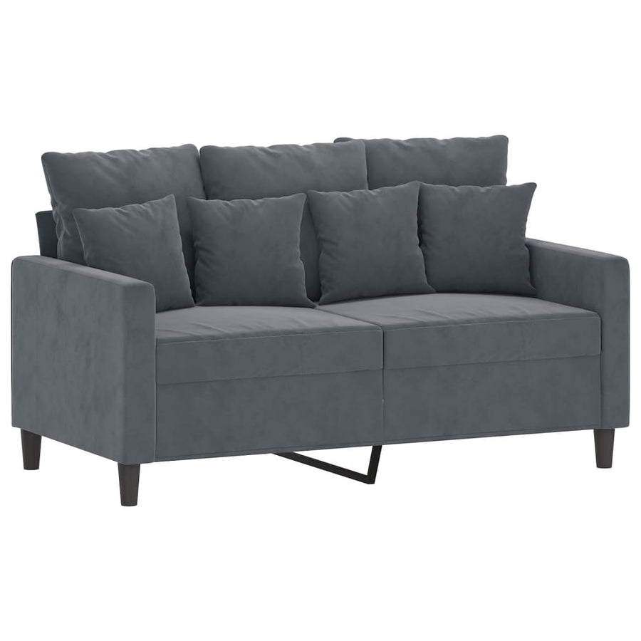 2-Delige Loungeset Fluweel Donkergrijs met kussens