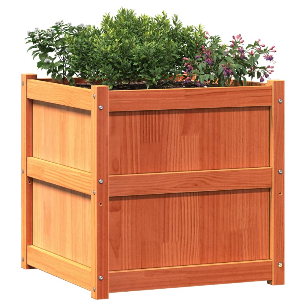 Plantenbakken 2 St Cm Massief Grenenhout Waxbruin