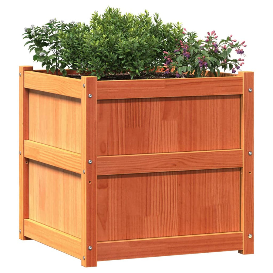 Plantenbakken 2 St Cm Massief Grenenhout Waxbruin
