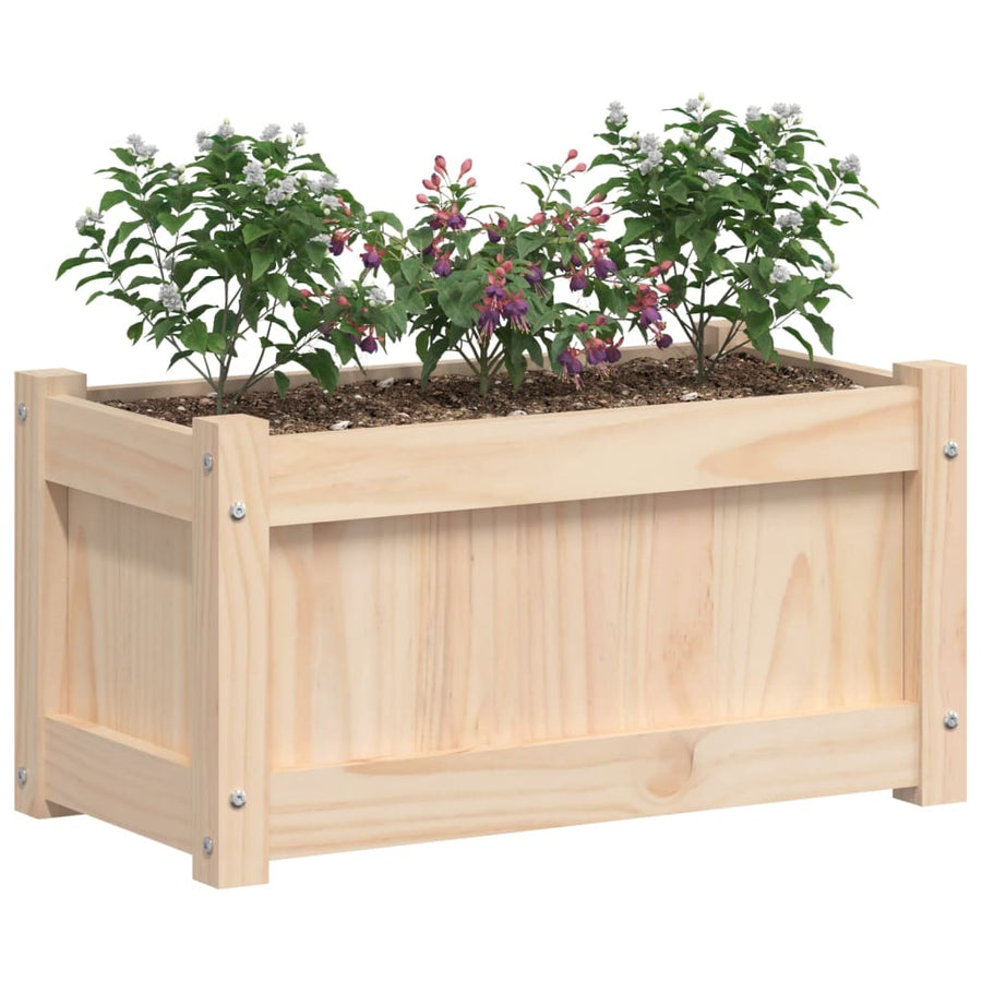 Plantenbak 60X3X3 Cm Massief Grenenhout 1 Natuurlijk grenenhout