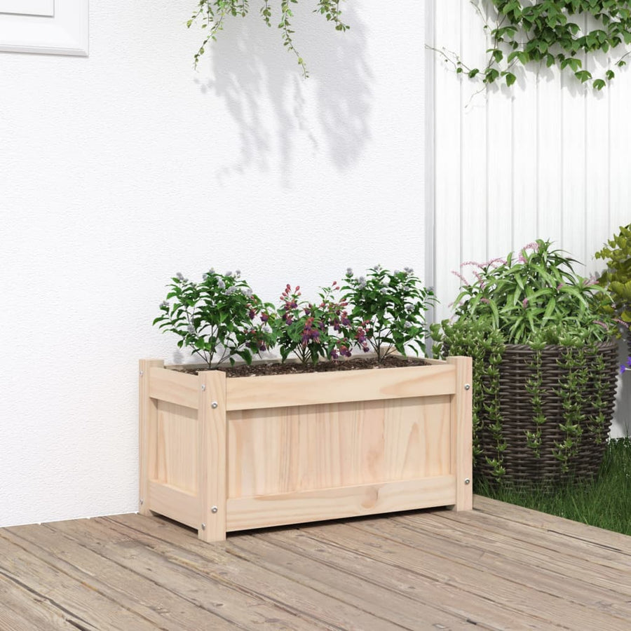 Plantenbak 60X3X3 Cm Massief Grenenhout 1 Natuurlijk grenenhout