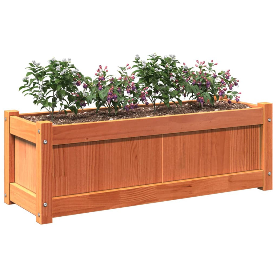 Plantenbakken 2 St Cm Massief Grenenhout Waxbruin