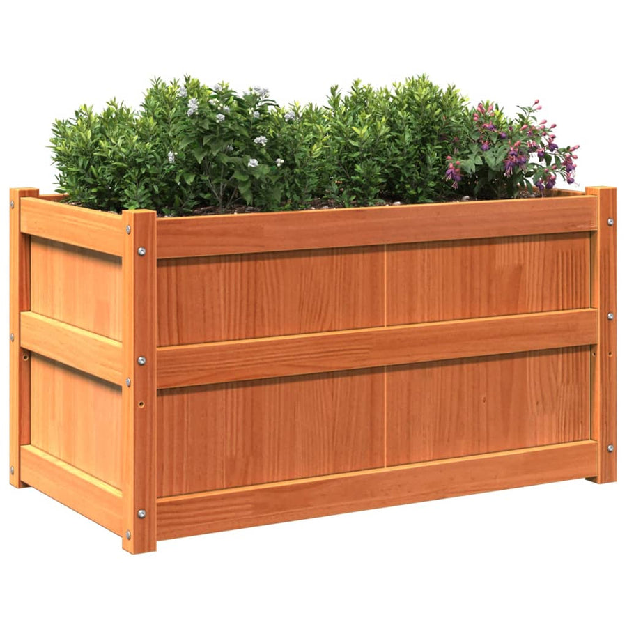 Plantenbakken 2 St Cm Massief Grenenhout Waxbruin