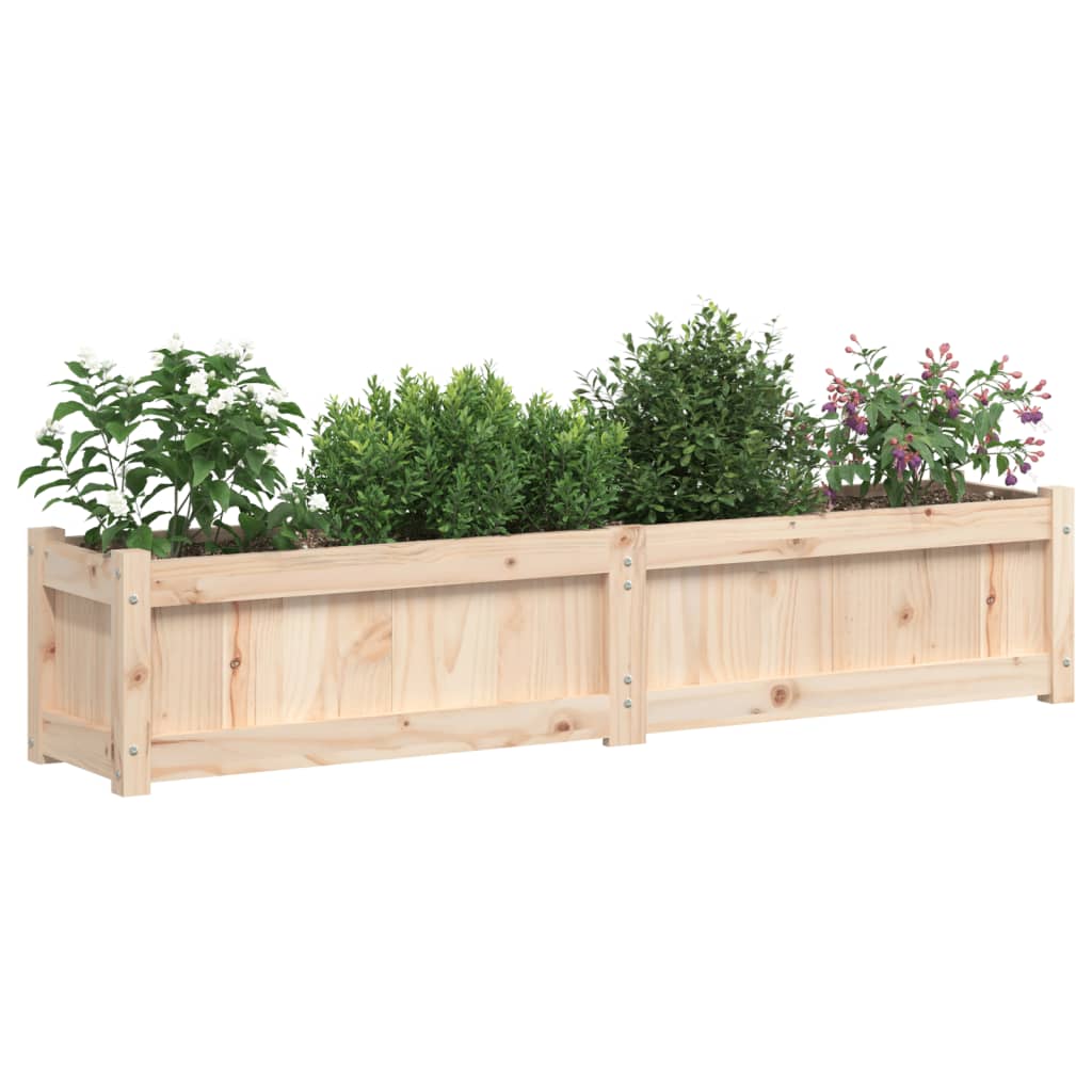 Plantenbak 50X3X3 Cm Massief Grenenhout 1 Natuurlijk grenenhout