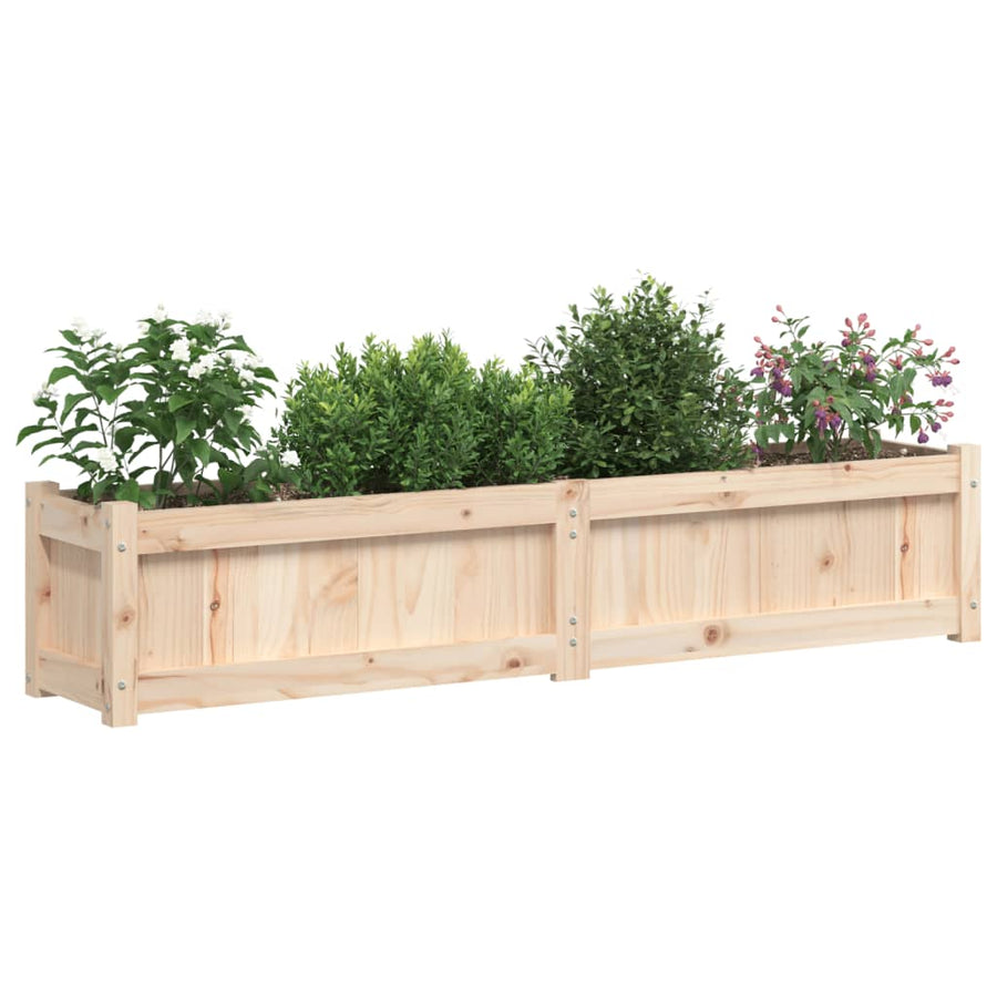 Plantenbak 50X3X3 Cm Massief Grenenhout 1 Natuurlijk grenenhout