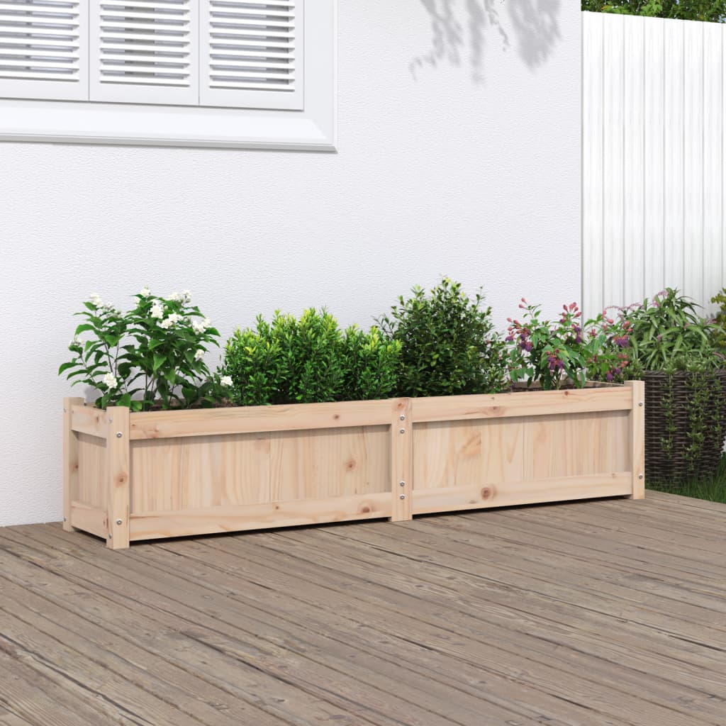 Plantenbak 50X3X3 Cm Massief Grenenhout 1 Natuurlijk grenenhout