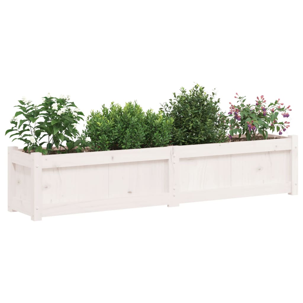 Plantenbak 50X3X3 Cm Massief Grenenhout Wit 1 Wit grenenhout