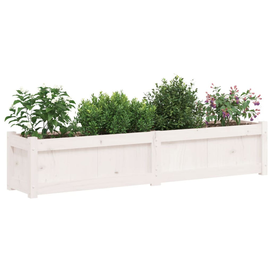 Plantenbak 50X3X3 Cm Massief Grenenhout Wit 1 Wit grenenhout