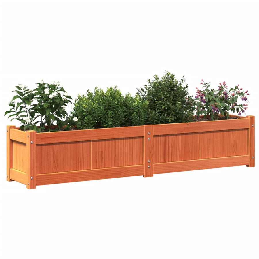 Plantenbakken 2 St Cm Massief Grenenhout Waxbruin
