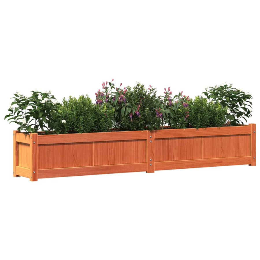 Plantenbakken 2 St Cm Massief Grenenhout Waxbruin