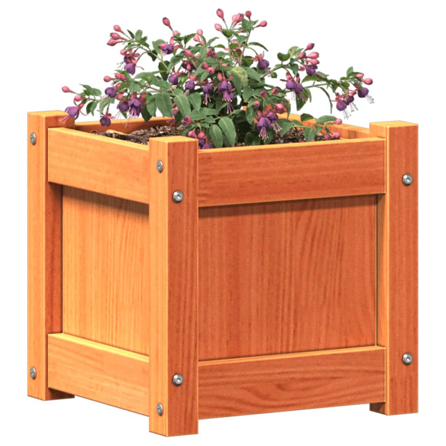 Plantenbak 31x31x31 cm massief grenenhout wasbruin 1 Bruingrenen