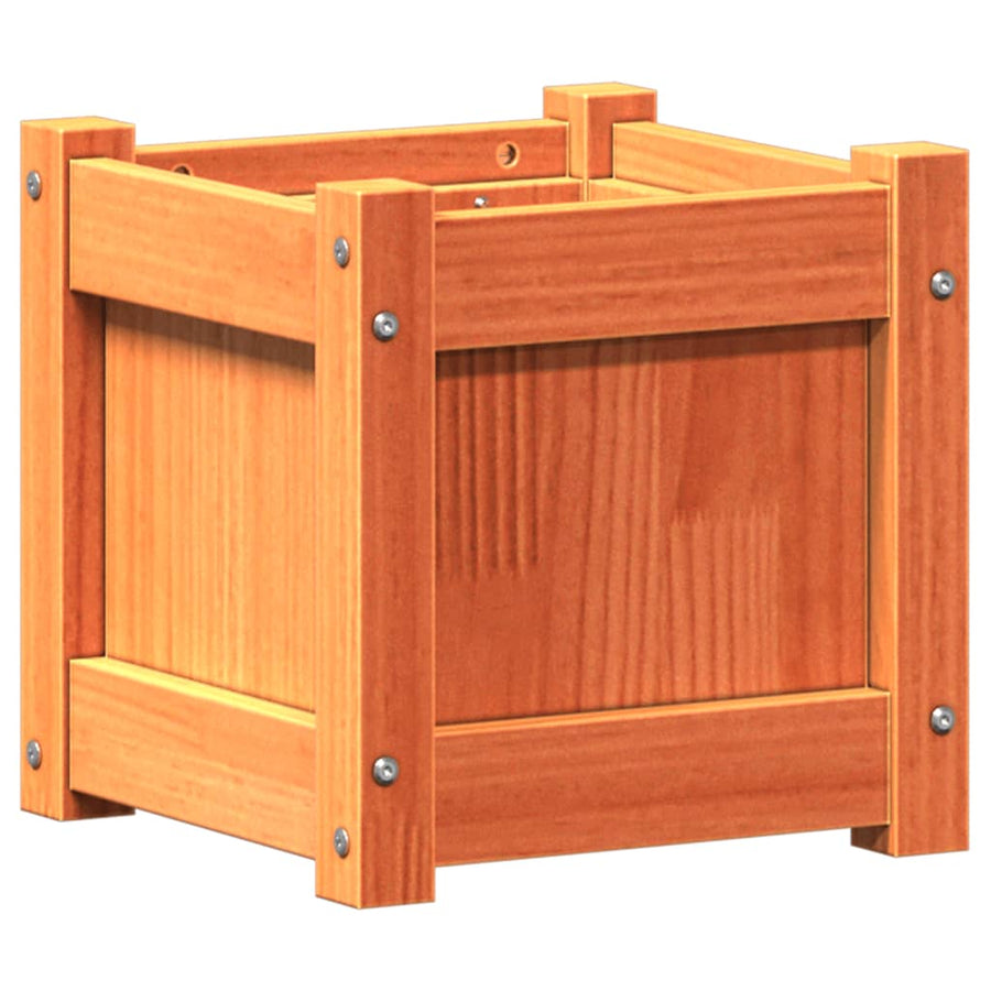 Plantenbak 31x31x31 cm massief grenenhout wasbruin 1 Bruingrenen
