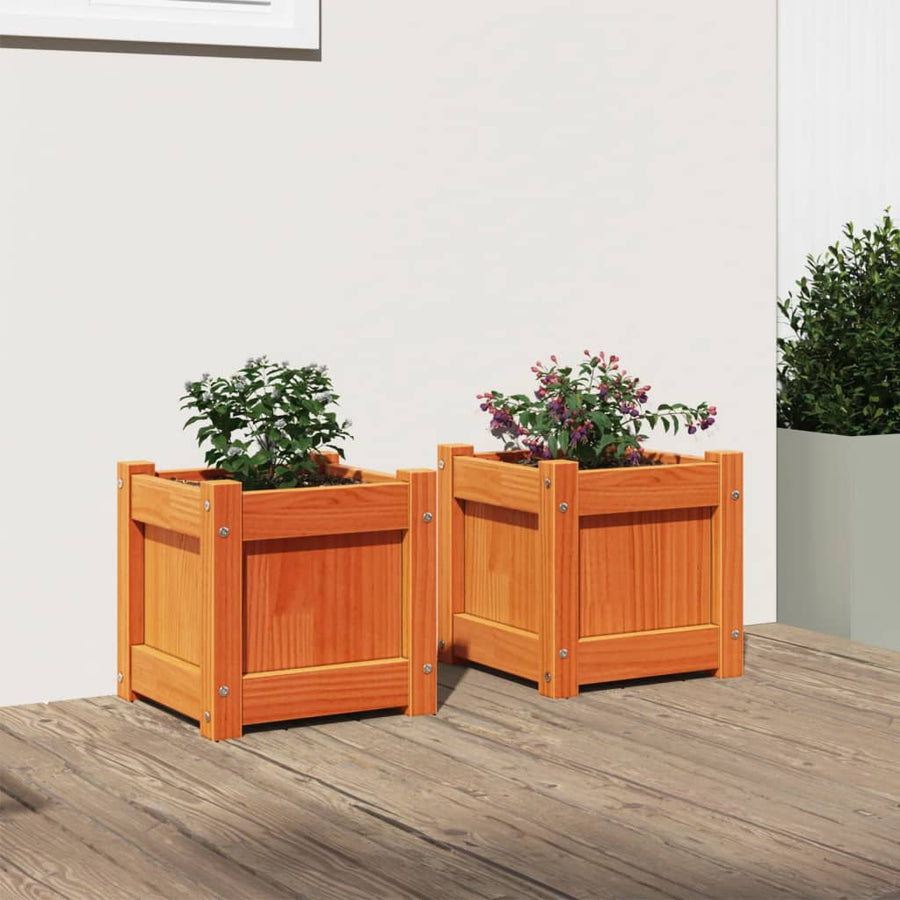 Plantenbakken 2 St Cm Massief Grenenhout Waxbruin