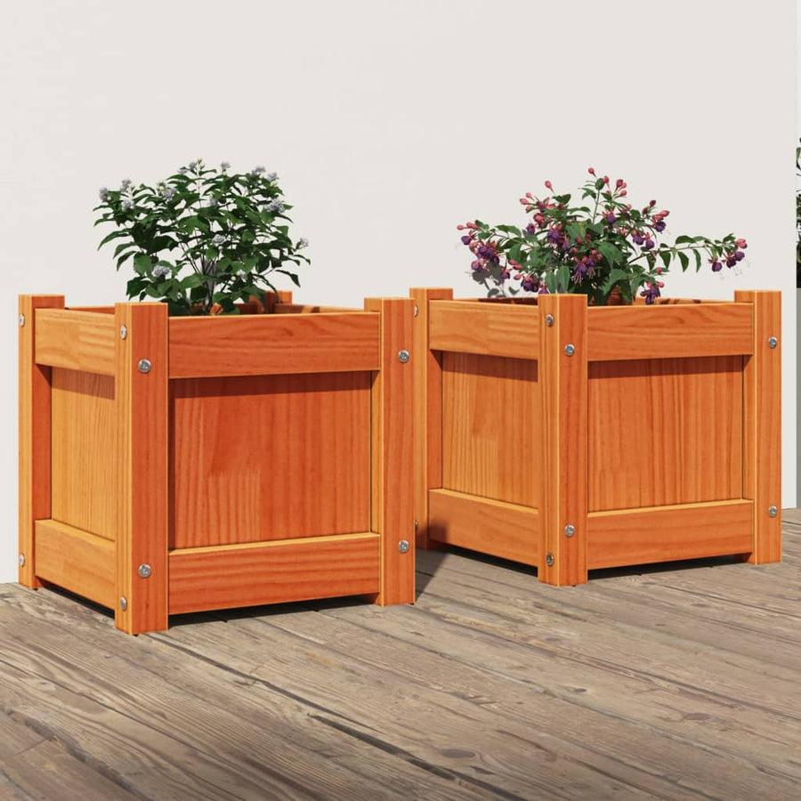 Plantenbakken 2 St Cm Massief Grenenhout Waxbruin