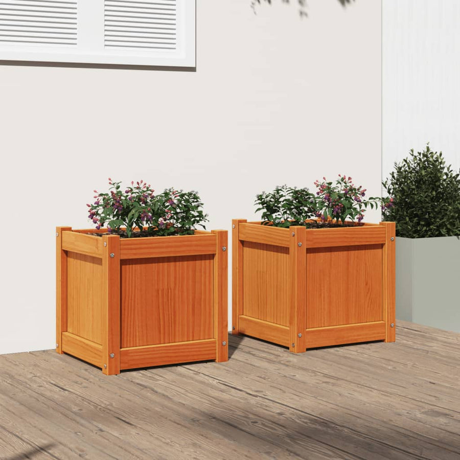 Plantenbakken 2 St Cm Massief Grenenhout Waxbruin