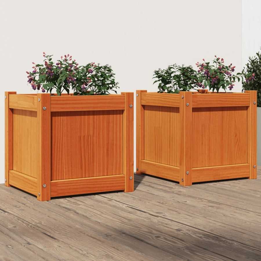 Plantenbakken 2 St Cm Massief Grenenhout Waxbruin