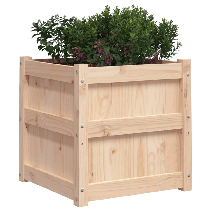 Plantenbakken 2 St Cm Massief Grenenhout