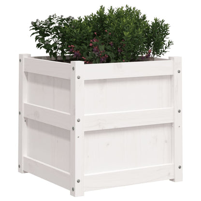 Plantenbakken Cm Massief Grenenhout Wit 2 Wit grenenhout