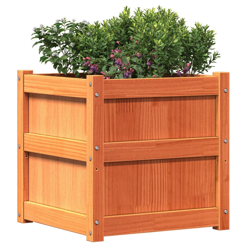 Plantenbakken 2 St Cm Massief Grenenhout Waxbruin