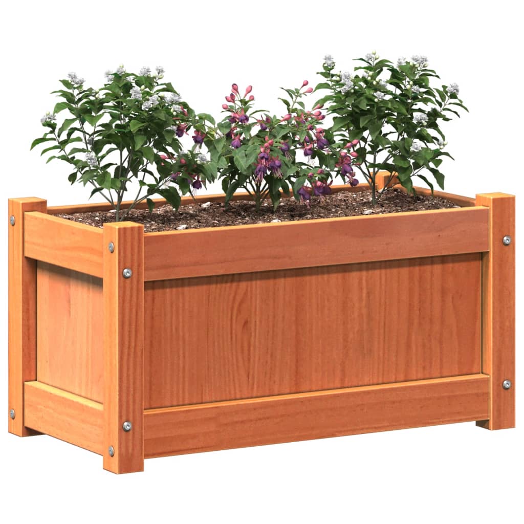 Plantenbakken 2 St Cm Massief Grenenhout Waxbruin