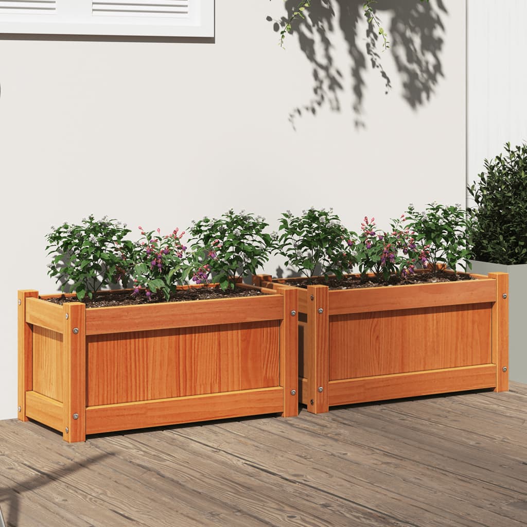 Plantenbakken 2 St Cm Massief Grenenhout Waxbruin