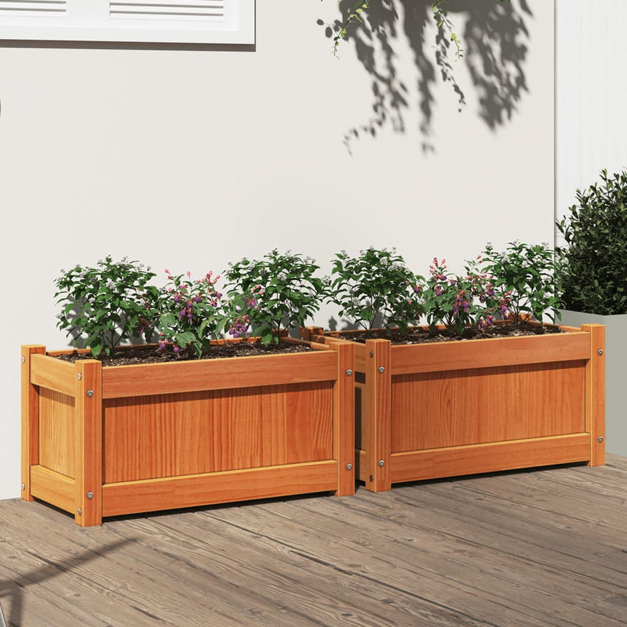 Plantenbakken 2 St Cm Massief Grenenhout Waxbruin