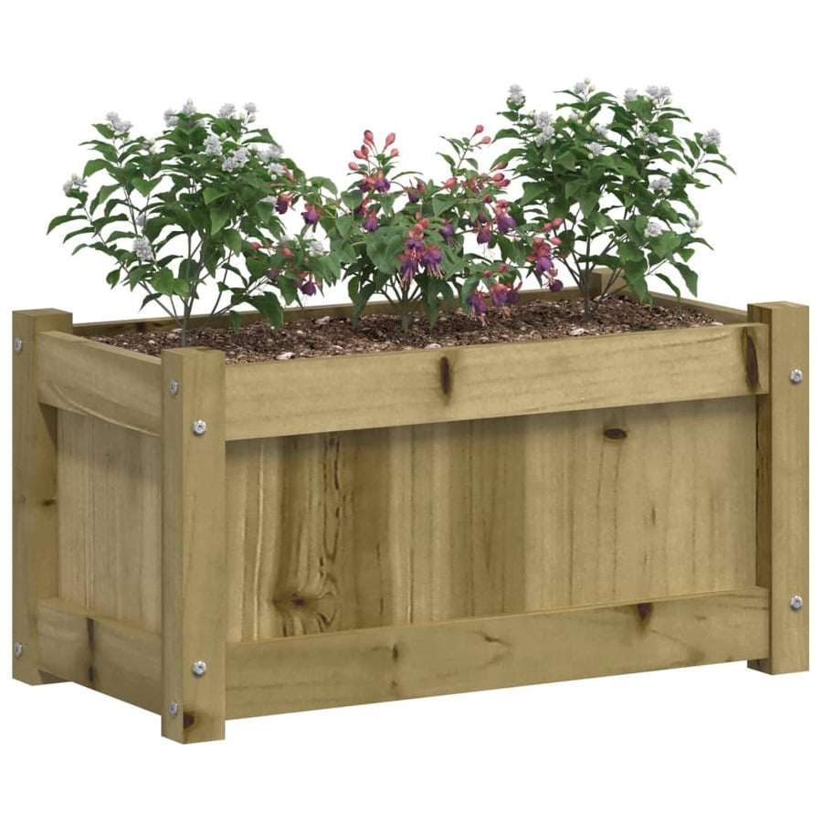 Plantenbak 60X3X3 Cm Geïmpregneerd Grenenhout 1 Naturel geïmpregneerd