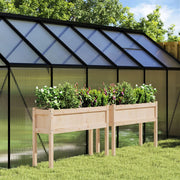 Plantenbakken met poten 2 st massief grenenhout 110x31x70 cm