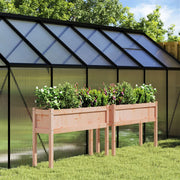 Plantenbakken met poten 2 st massief douglashout 110x31x70 cm