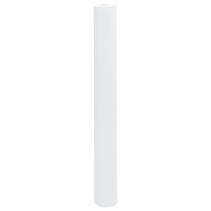 Vliesdoek Voor Planten 2 Rollen 70 G/M² 10X1,6 M