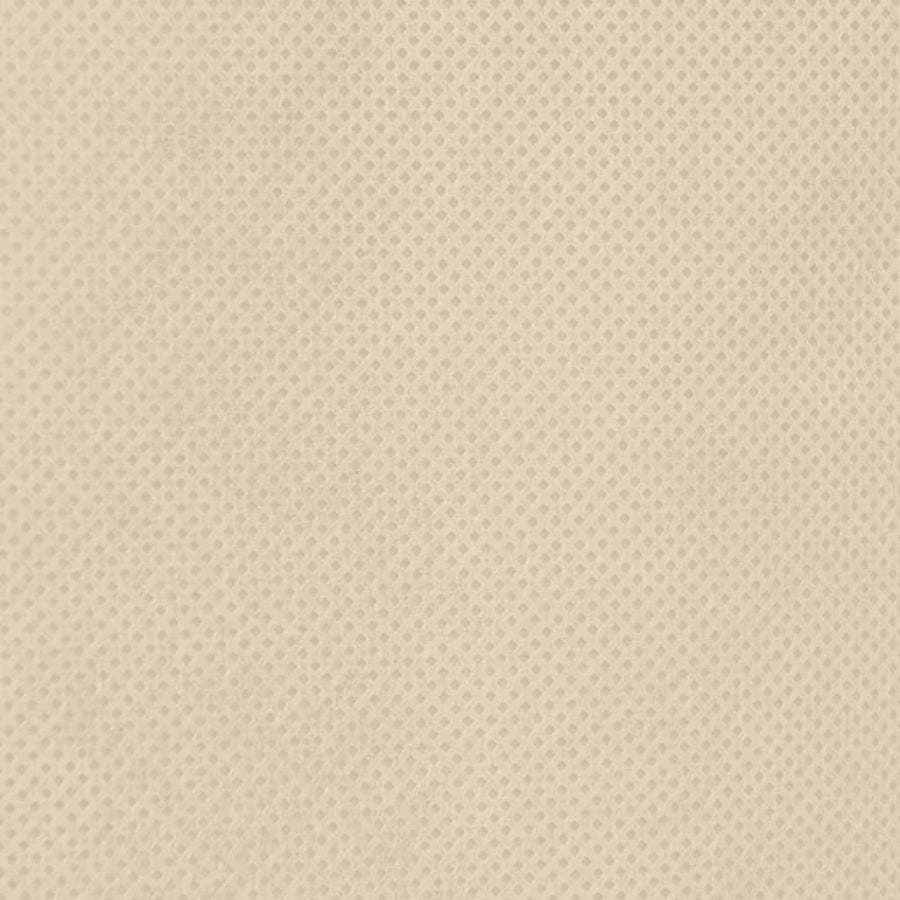 Plantenhoezen Met Trekkoord 12 St 70 G/M² 0,8X1,2 M