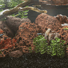 Lava stones 10 kg 10-30 cm red