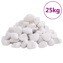Kiezelstenen Gepolijst 2-5 Cm 25 Kg 2-5 cm (25 kg) Wit