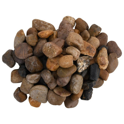 Kiezelstenen Gepolijst 2-5 Cm 25 Kg Meerkleurig 2-5 cm (25 kg)