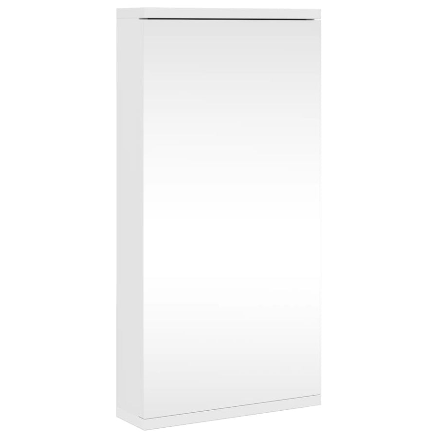 Badkamerkast Met Spiegel 30X24X60 Cm Wit