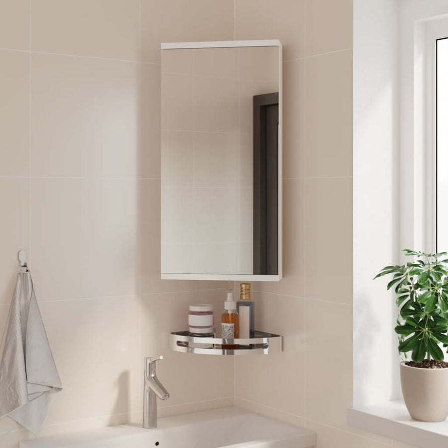Badkamerkast Met Spiegel 30X24X60 Cm Wit