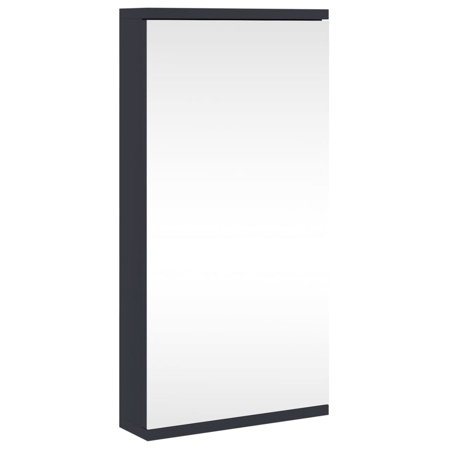 Badkamerkast Met Spiegel 30X24X60 Cm Grijs