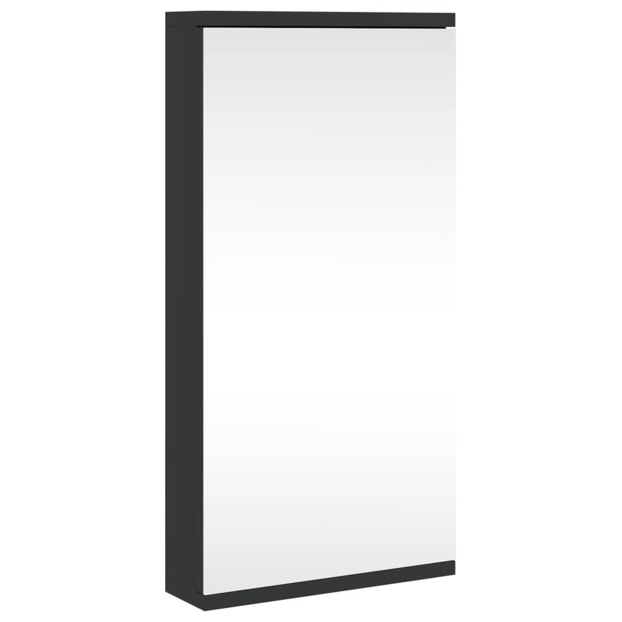 Badkamerkast Met Spiegel 30X24X60 Cm Zwart