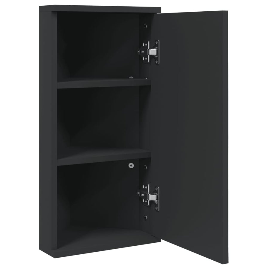 Badkamerkast Met Spiegel 30X24X60 Cm Zwart