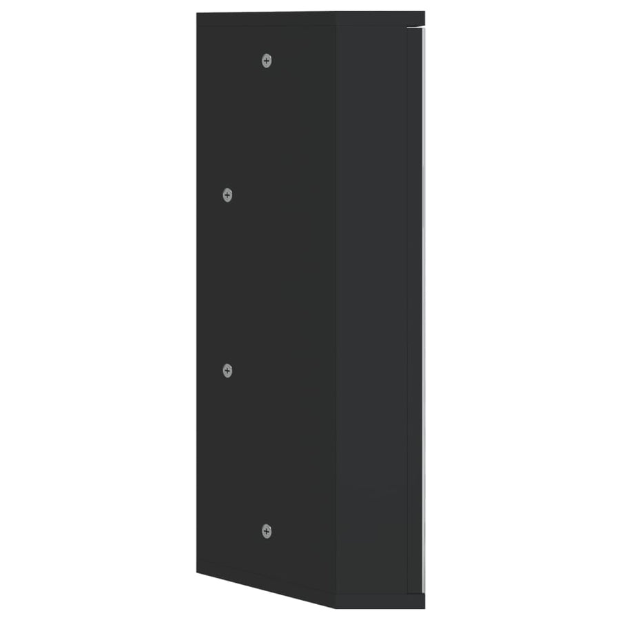 Badkamerkast Met Spiegel 30X24X60 Cm Zwart